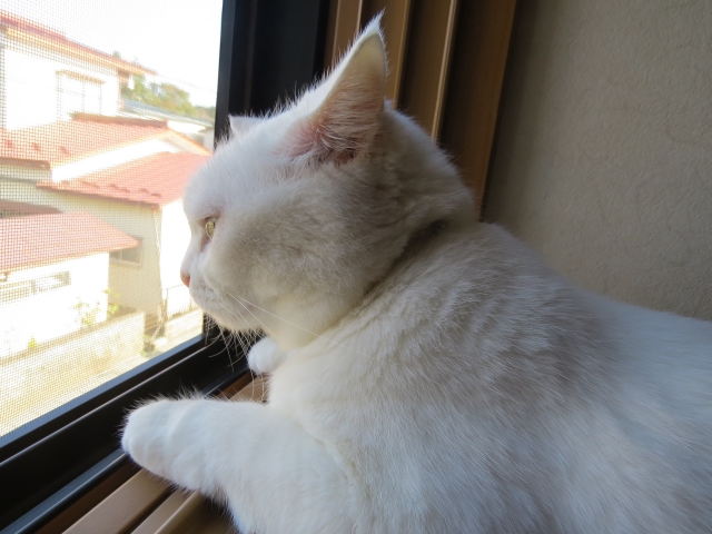 73751f44f8bb87fff1814a0583422117_s